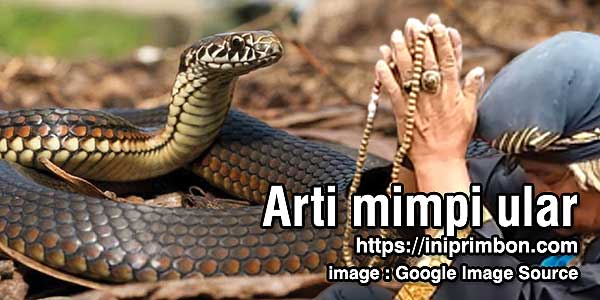 Arti mimpi ular